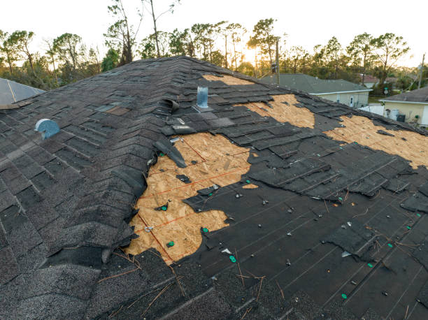 Best Slate Roofing  in Park Forest, IL