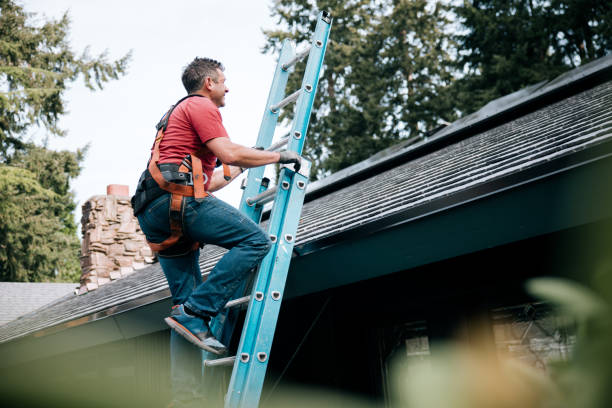 Professional Roofing Services in Park Forest, IL