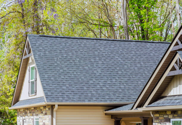 Best Asphalt Shingle Roofing  in Park Forest, IL