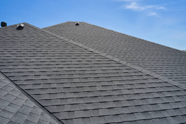 Best Storm Damage Roof Repair  in Park Forest, IL